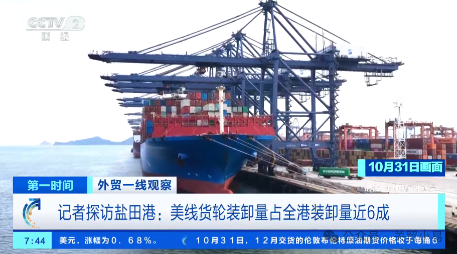 精品久久久久久无码中文字幕一区