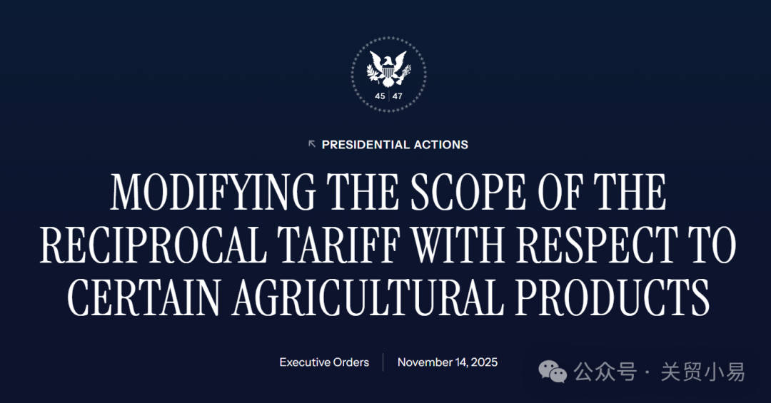 精品久久久久久无码中文字幕一区