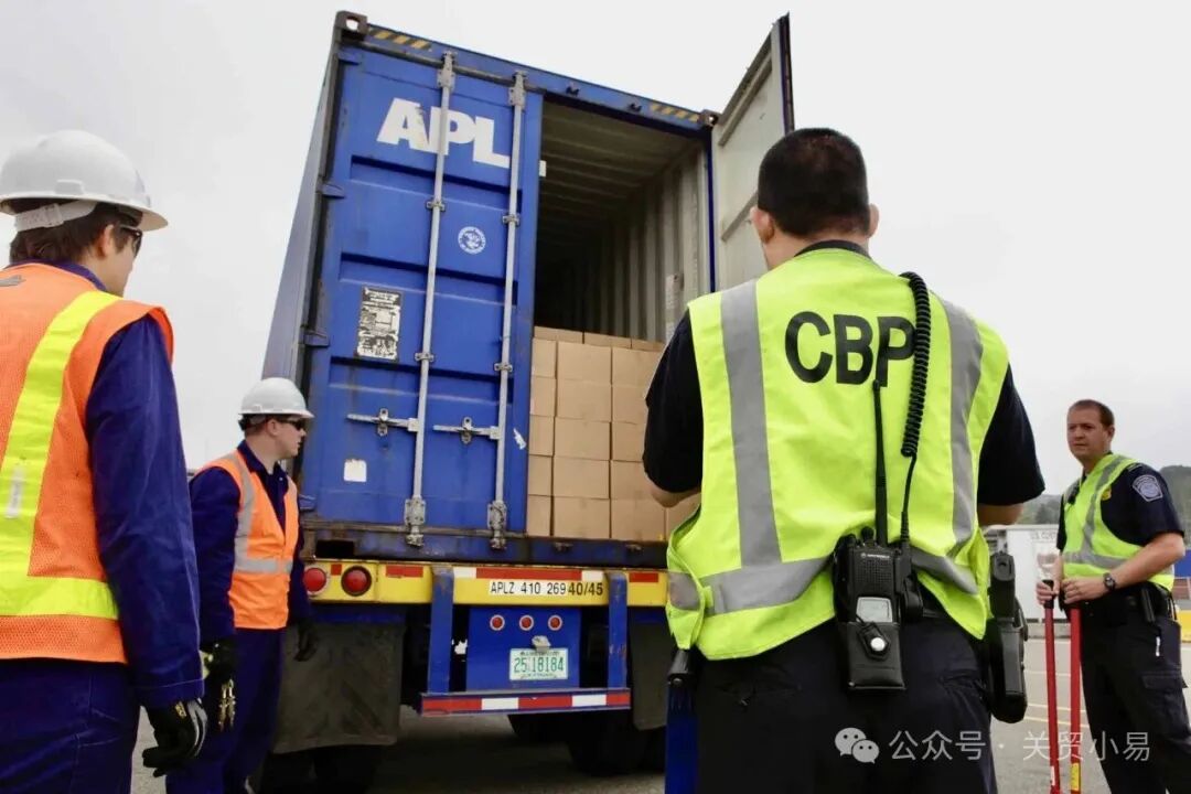 精品久久久久久无码中文字幕一区