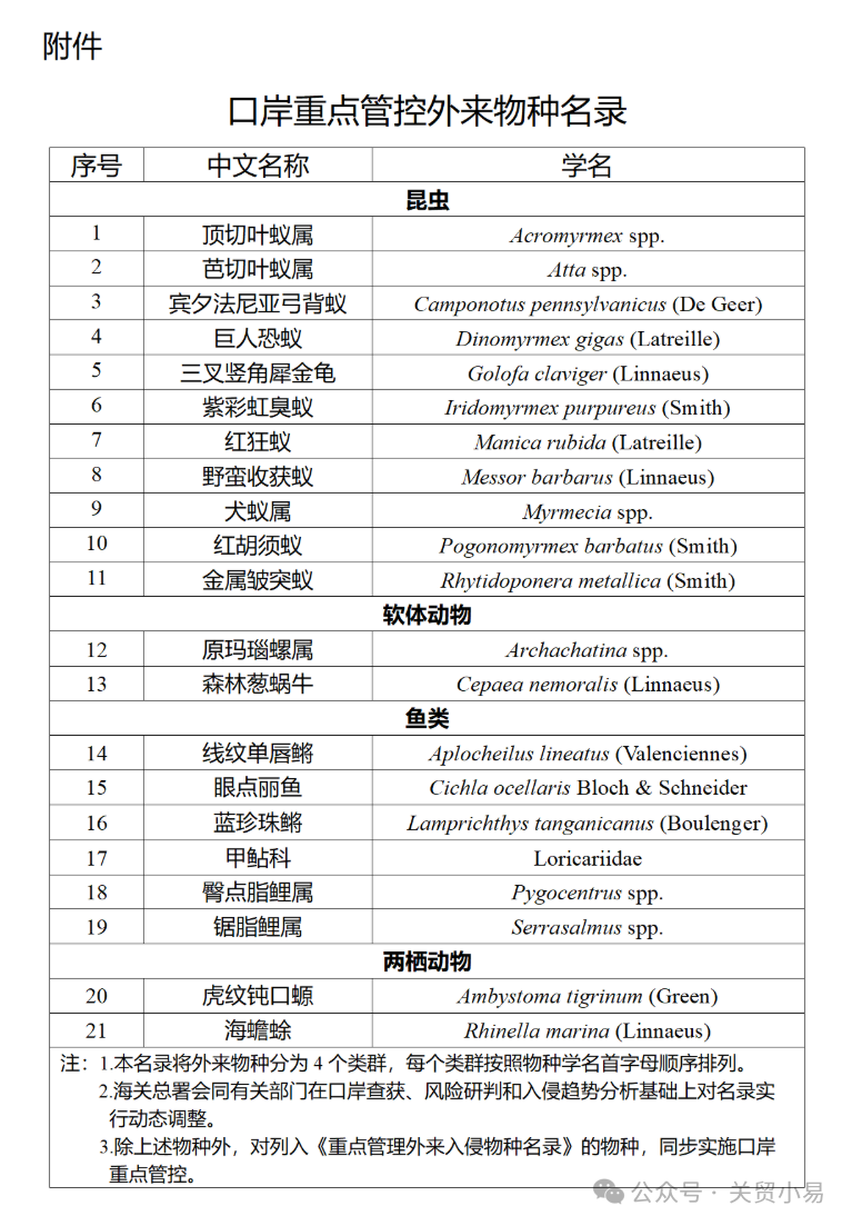 精品久久久久久无码中文字幕一区