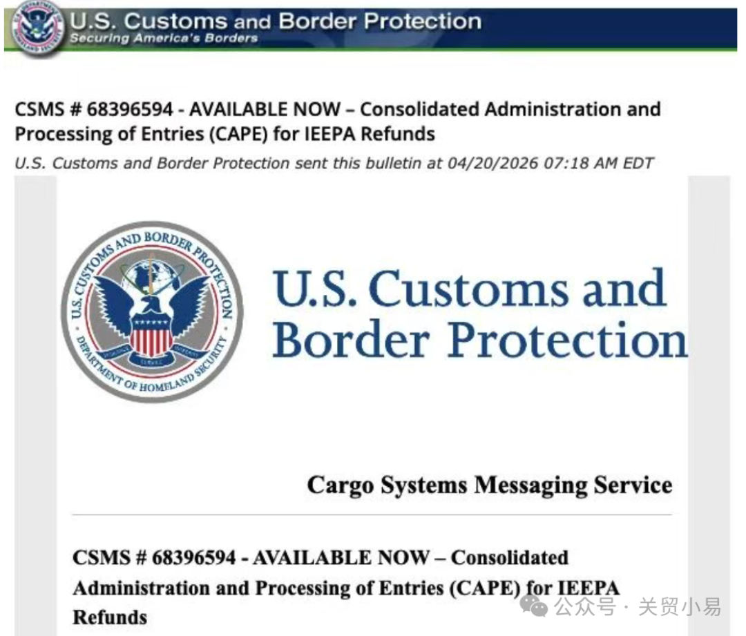 精品久久久久久无码中文字幕一区