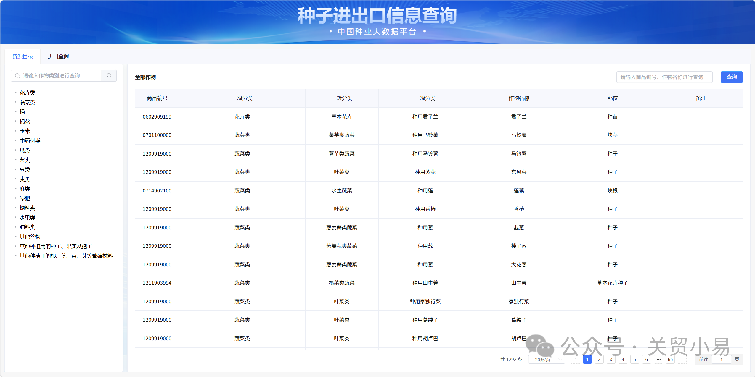 精品久久久久久无码中文字幕一区