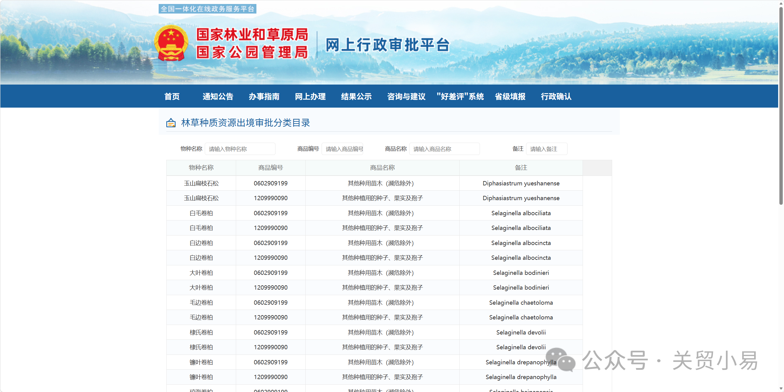 精品久久久久久无码中文字幕一区