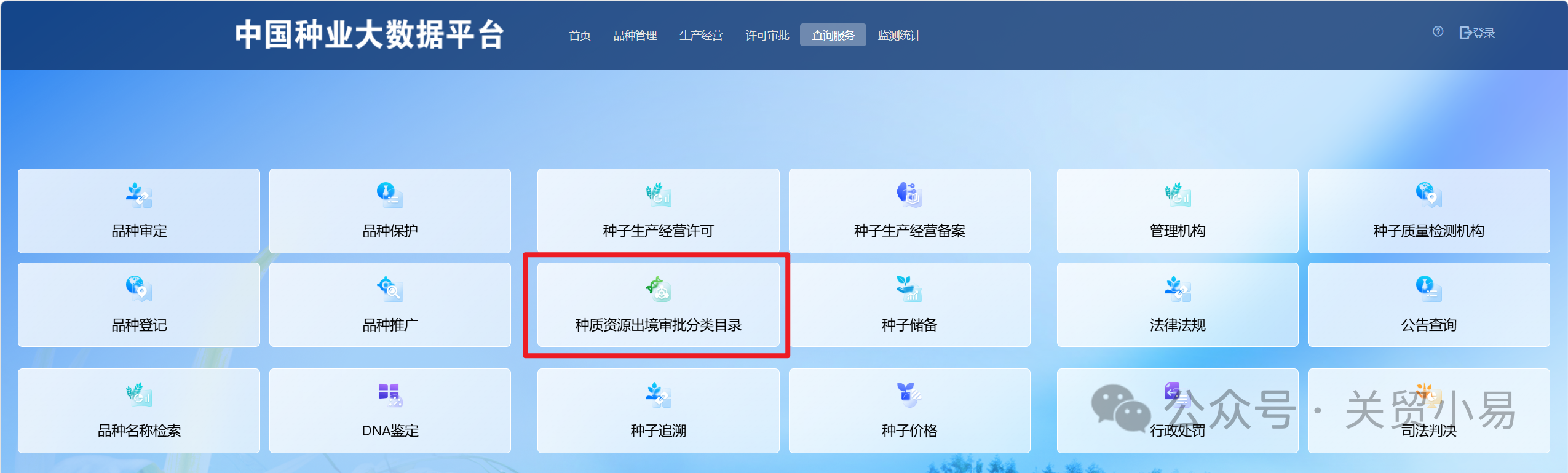 精品久久久久久无码中文字幕一区